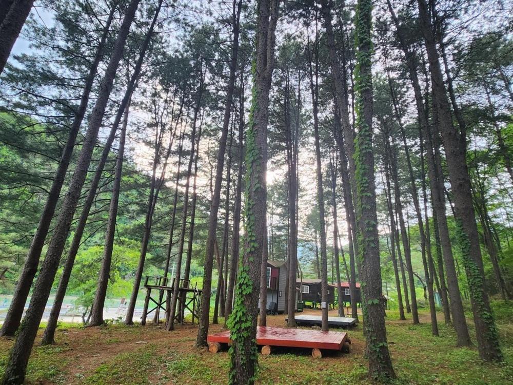 Hongcheon Gongjaksan Recreational Forest Pension Exterior photo